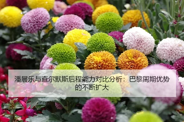 潘展乐与查尔默斯后程能力对比分析：巴黎周期优势的不断扩大