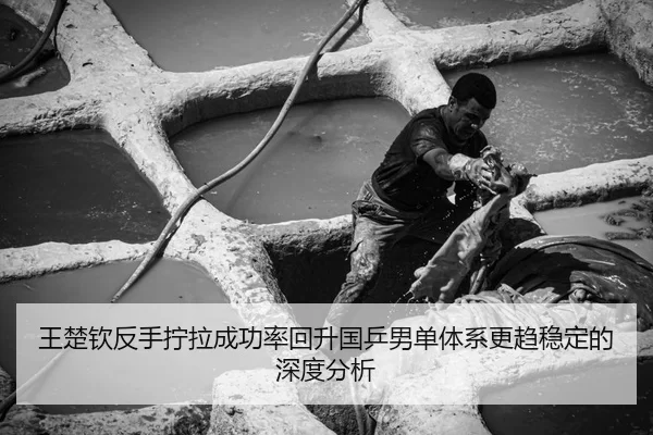 wang-chu-qin-fan-shou-ning-la-cheng-gong-lv-hui-sheng-guo-ping-nan-dan-ti-xi-geng-qu-wen-ding-de-shen-du-fen-xi-2-303.jpg