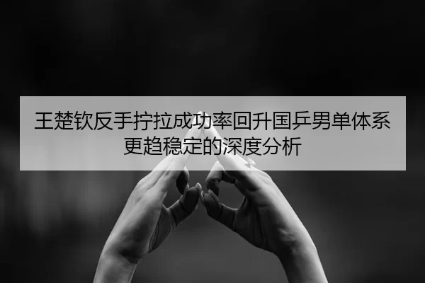 王楚钦反手拧拉成功率回升国乒男单体系更趋稳定的深度分析