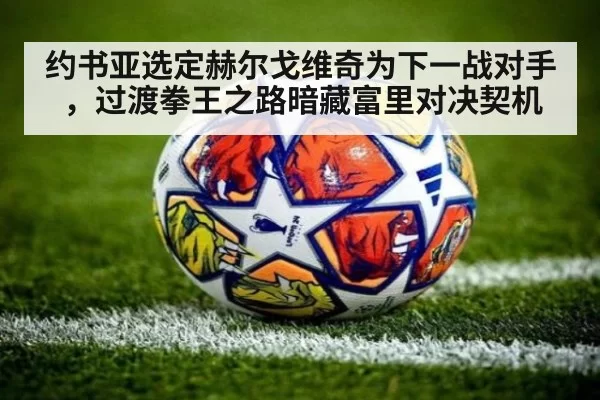 约书亚选定赫尔戈维奇为下一战对手，过渡拳王之路暗藏富里对决契机